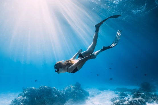 LES PLAISIRS DE LA PLONGÉE AUX CARAÏBES