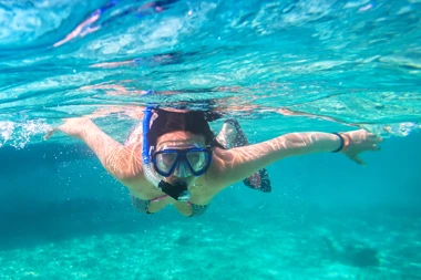 SNORKELING DANS LA RÉSERVE COUSTEAU